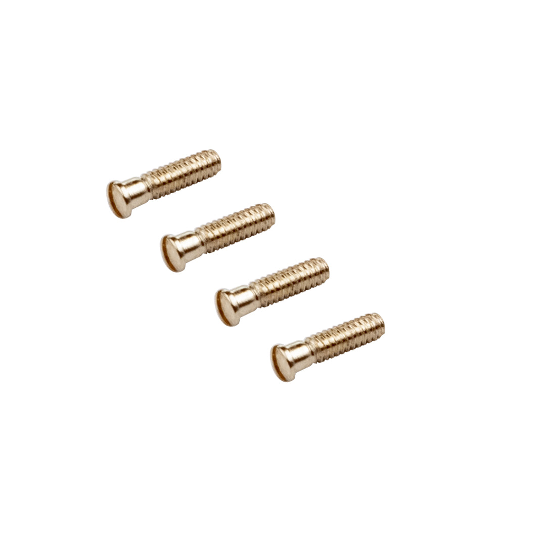 Screws For  Sunglasses Ray Ban RB4147 RB4101 RB4181 RB4184 RB4190 RB4142 RB4191 RB4175 Temple Hinge Screw