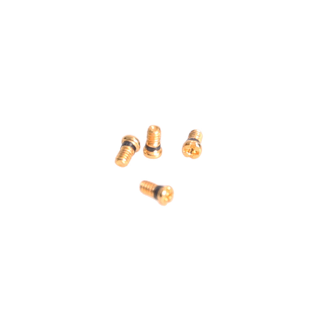 Sunglasses Screws For Ray Ban  RB3025 RB3026 Aviator RB3581N Blazed shooter Temple Sunglasses Screw